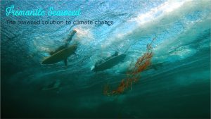 220506 Fs Hero Slide