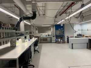 Loop Lab 3