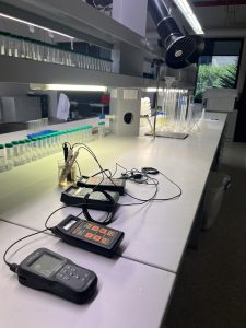 Loop Lab Instruments 1