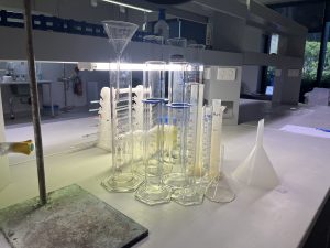 Loop Lab Pippets 1