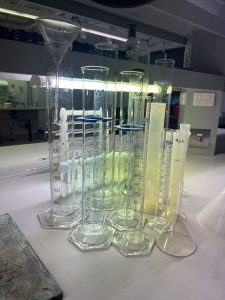 Loop Lab Pippets 2