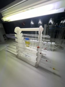 Loop Lab Pippets 6