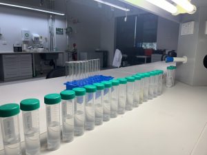 Loop Lab Vials 1