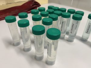 Loop Lab Vials 2