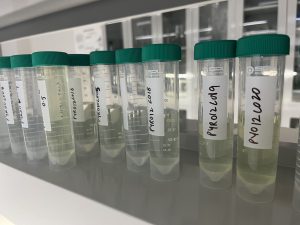 Loop Lab Vials 3