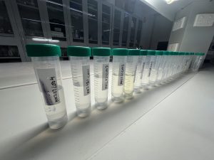 Loop Lab Vials 4