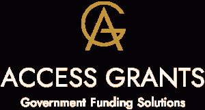 Access Grants Top White White Transparent