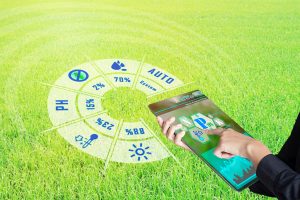 Copy Space Smart Farming, Futuristic Agriculture Concept : Business Woman Monitoring All Farm Status And Realtime Situation Control With Smart Device, Analysis And Report With Holographic