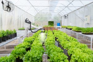 Smart Robotic Farmers In Agriculture Futuristic Robot Automation